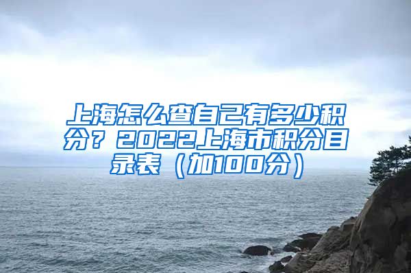 上海怎么查自己有多少积分？2022上海市积分目录表（加100分）