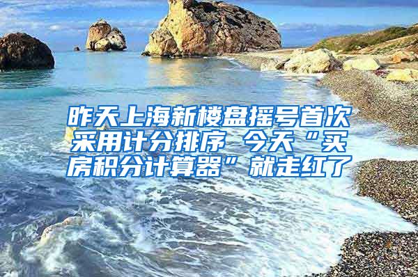 昨天上海新楼盘摇号首次采用计分排序 今天“买房积分计算器”就走红了