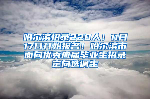 哈尔滨招录220人！11月17日开始报名！哈尔滨市面向优秀应届毕业生招录定向选调生