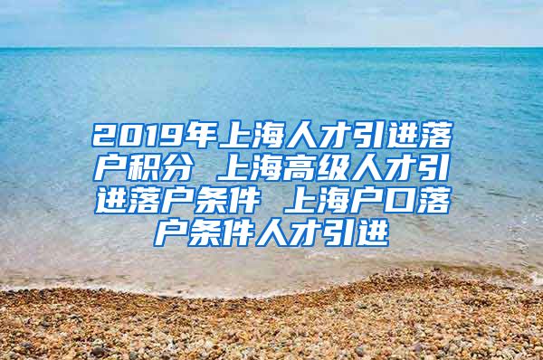 2019年上海人才引进落户积分 上海高级人才引进落户条件 上海户口落户条件人才引进