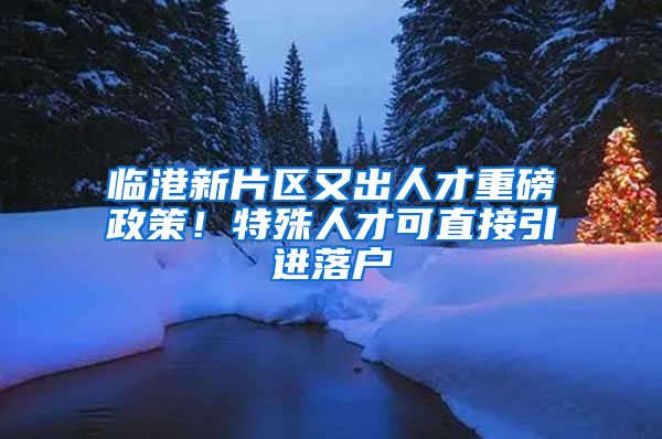 临港新片区又出人才重磅政策！特殊人才可直接引进落户