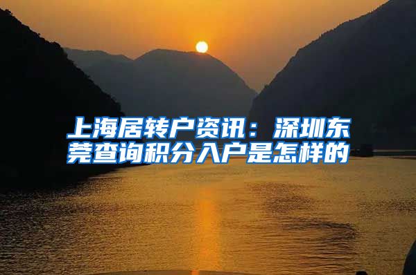 上海居转户资讯：深圳东莞查询积分入户是怎样的