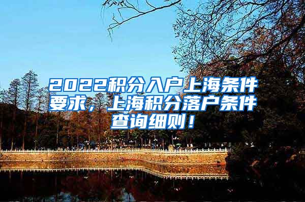 2022积分入户上海条件要求，上海积分落户条件查询细则！