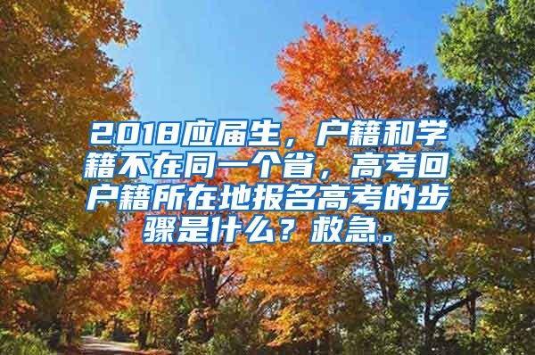 2018应届生，户籍和学籍不在同一个省，高考回户籍所在地报名高考的步骤是什么？救急。