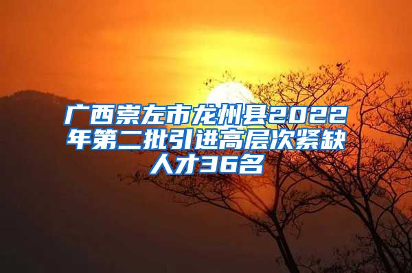 广西崇左市龙州县2022年第二批引进高层次紧缺人才36名