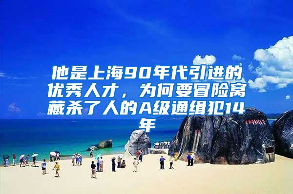 他是上海90年代引进的优秀人才，为何要冒险窝藏杀了人的A级通缉犯14年