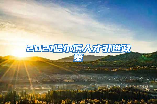 2021哈尔滨人才引进政策