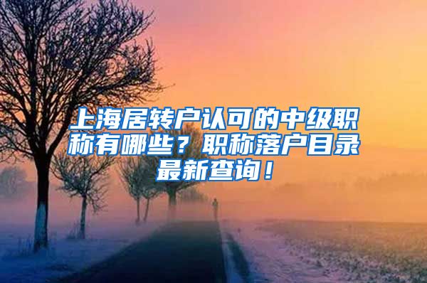 上海居转户认可的中级职称有哪些？职称落户目录最新查询！