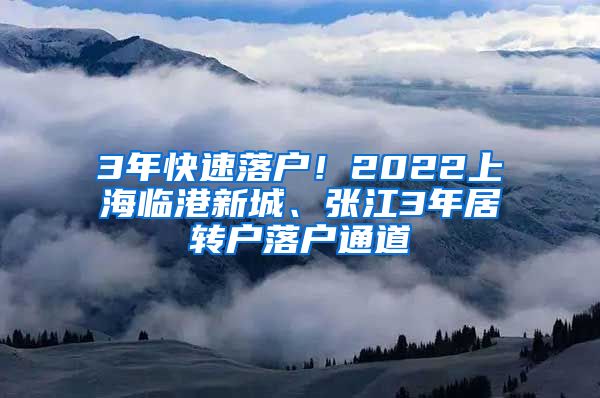 3年快速落户！2022上海临港新城、张江3年居转户落户通道