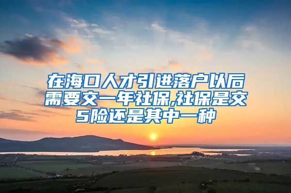 在海口人才引进落户以后需要交一年社保,社保是交5险还是其中一种