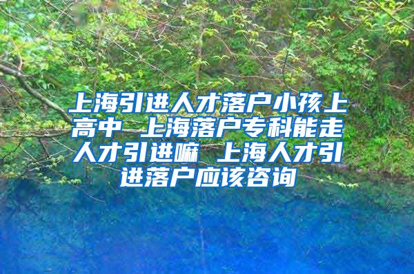 上海引进人才落户小孩上高中 上海落户专科能走人才引进嘛 上海人才引进落户应该咨询