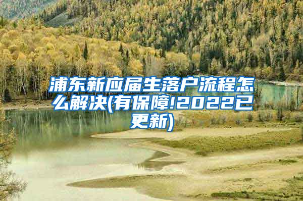 浦东新应届生落户流程怎么解决(有保障!2022已更新)