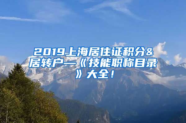 2019上海居住证积分&居转户—《技能职称目录》大全！