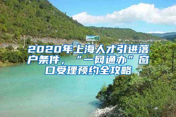 2020年上海人才引进落户条件，“一网通办”窗口受理预约全攻略