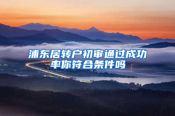 浦东居转户初审通过成功率你符合条件吗