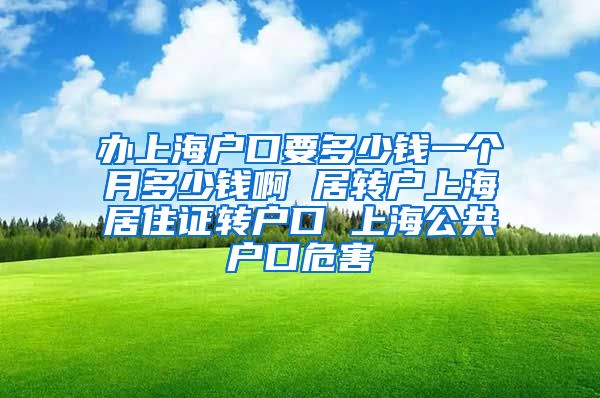 办上海户口要多少钱一个月多少钱啊 居转户上海居住证转户口 上海公共户口危害