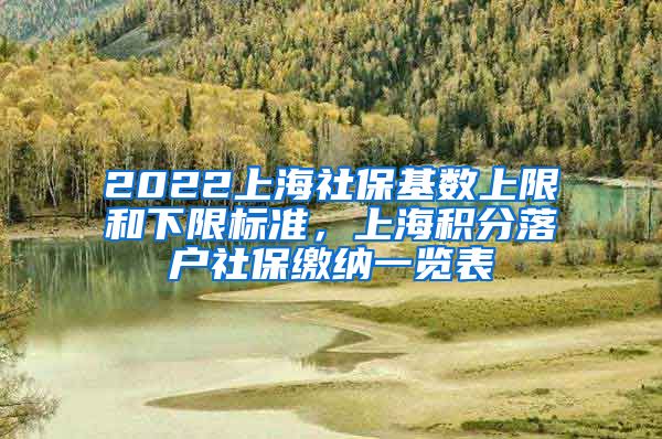 2022上海社保基数上限和下限标准，上海积分落户社保缴纳一览表