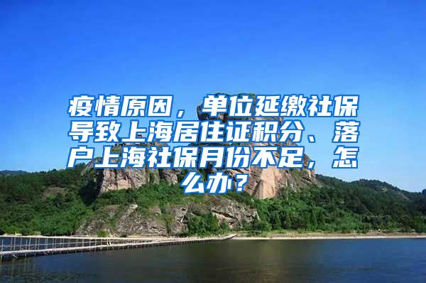 疫情原因，单位延缴社保导致上海居住证积分、落户上海社保月份不足，怎么办？