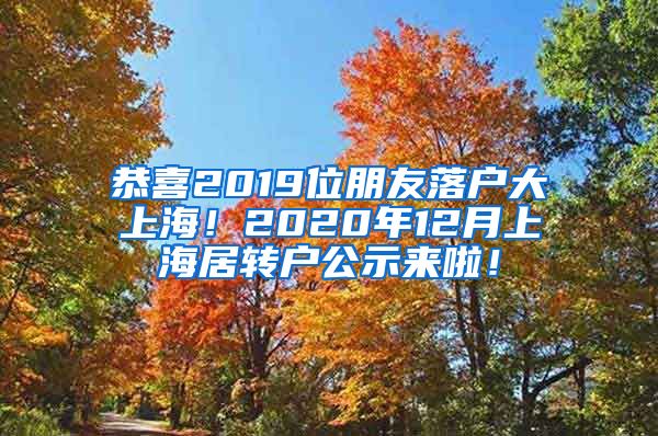 恭喜2019位朋友落户大上海！2020年12月上海居转户公示来啦！