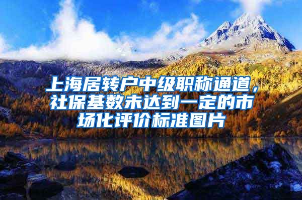 上海居转户中级职称通道，社保基数未达到一定的市场化评价标准图片