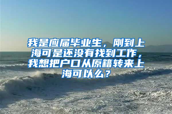 我是应届毕业生，刚到上海可是还没有找到工作，我想把户口从原籍转来上海可以么？