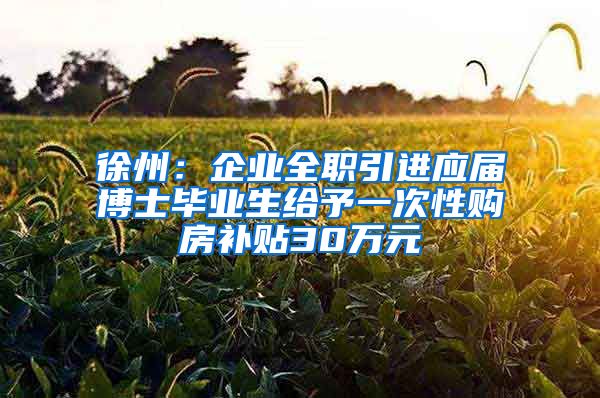 徐州：企业全职引进应届博士毕业生给予一次性购房补贴30万元