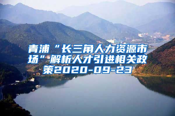 青浦“长三角人力资源市场”解析人才引进相关政策2020-09-23