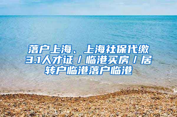 落户上海、上海社保代缴3.1人才证／临港买房／居转户临港落户临港