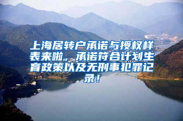 上海居转户承诺与授权样表来啦，承诺符合计划生育政策以及无刑事犯罪记录！