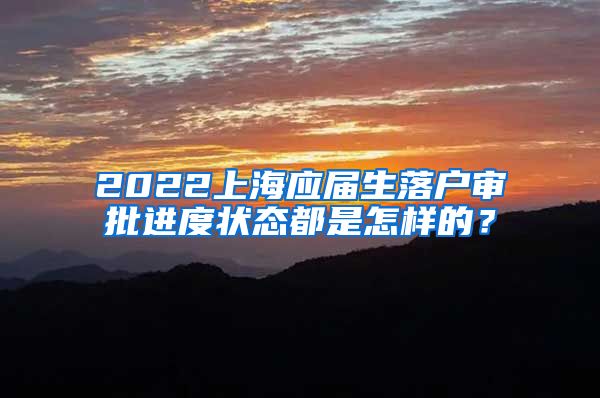 2022上海应届生落户审批进度状态都是怎样的？