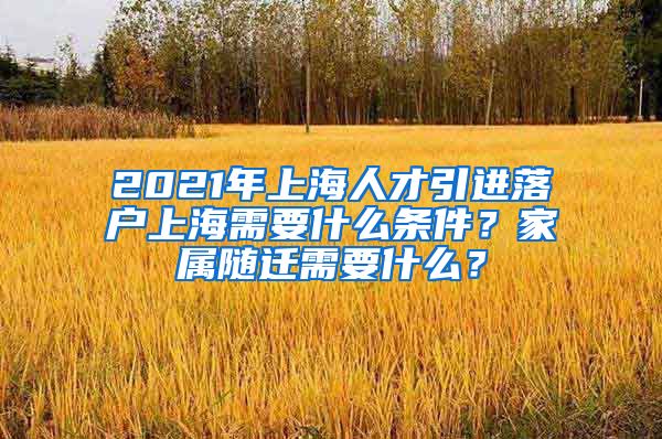 2021年上海人才引进落户上海需要什么条件？家属随迁需要什么？