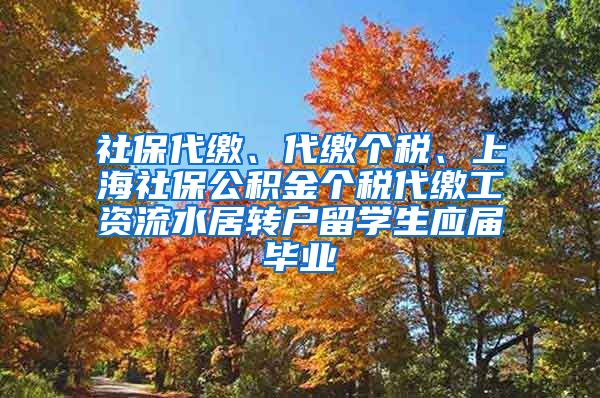 社保代缴、代缴个税、上海社保公积金个税代缴工资流水居转户留学生应届毕业