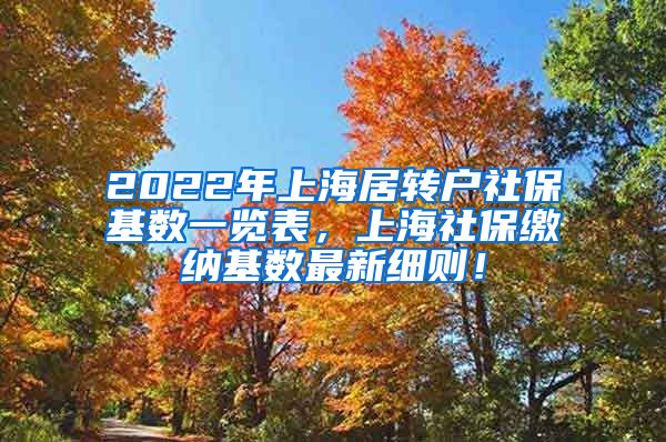 2022年上海居转户社保基数一览表，上海社保缴纳基数最新细则！