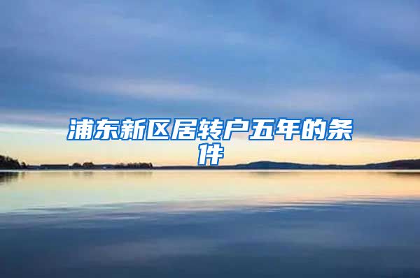 浦东新区居转户五年的条件