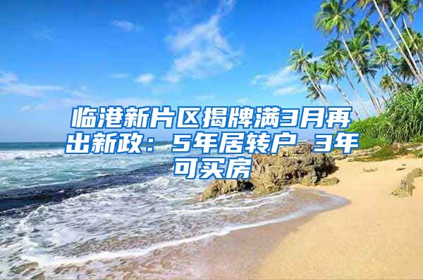 临港新片区揭牌满3月再出新政：5年居转户 3年可买房