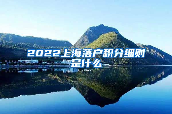 2022上海落户积分细则是什么