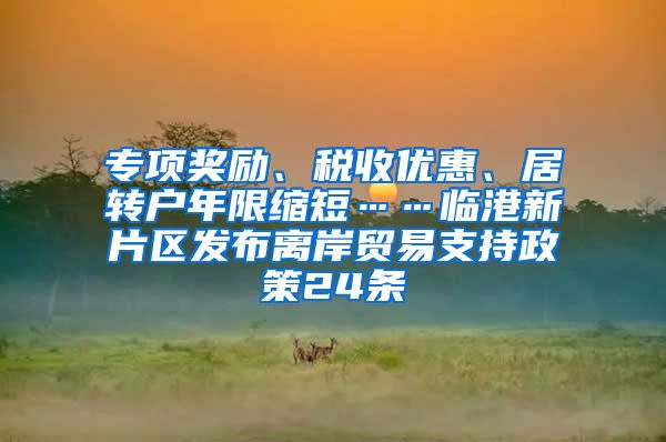 专项奖励、税收优惠、居转户年限缩短……临港新片区发布离岸贸易支持政策24条