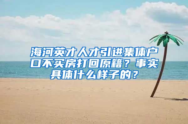 海河英才人才引进集体户口不买房打回原籍？事实具体什么样子的？