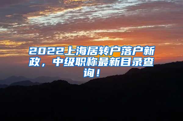 2022上海居转户落户新政，中级职称最新目录查询！