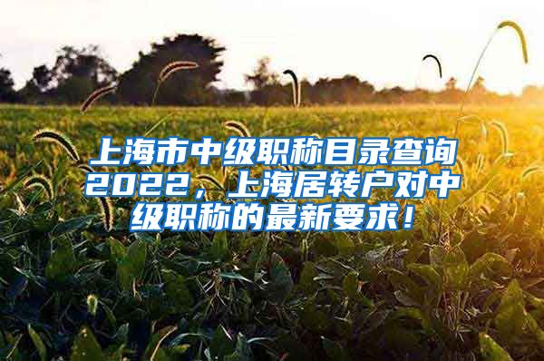 上海市中级职称目录查询2022，上海居转户对中级职称的最新要求！