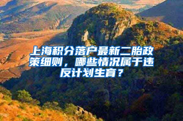 上海积分落户最新二胎政策细则，哪些情况属于违反计划生育？