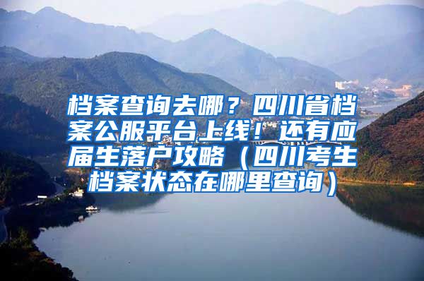 档案查询去哪？四川省档案公服平台上线！还有应届生落户攻略（四川考生档案状态在哪里查询）