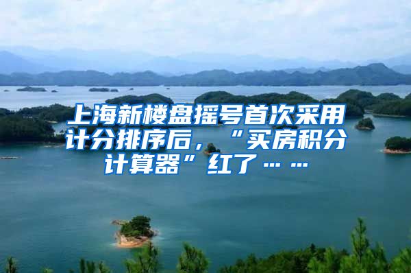 上海新楼盘摇号首次采用计分排序后，“买房积分计算器”红了……