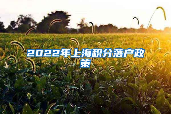 2022年上海积分落户政策