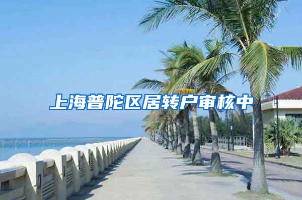 上海普陀区居转户审核中