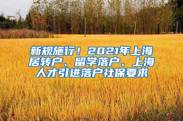 新规施行！2021年上海居转户、留学落户、上海人才引进落户社保要求