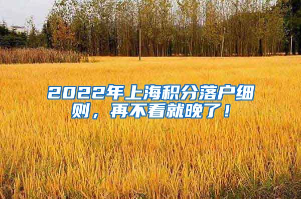 2022年上海积分落户细则，再不看就晚了！