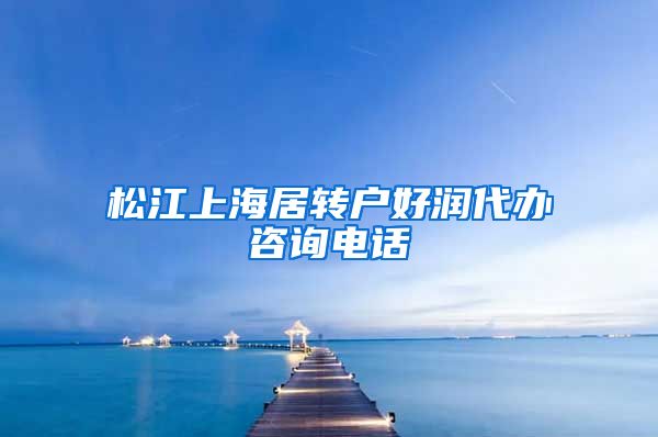 松江上海居转户好润代办咨询电话