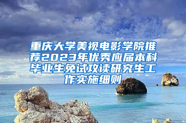重庆大学美视电影学院推荐2023年优秀应届本科毕业生免试攻读研究生工作实施细则