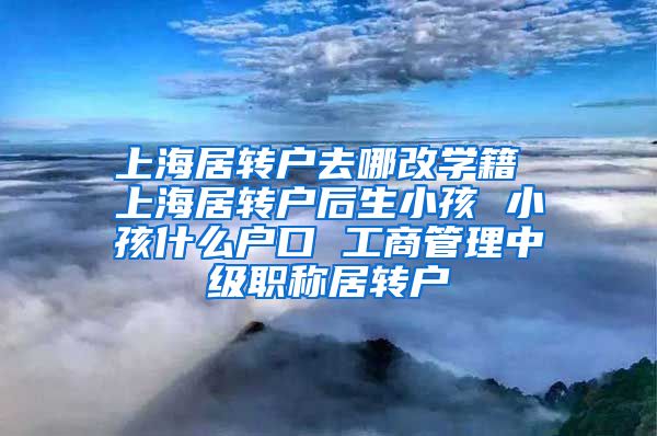 上海居转户去哪改学籍 上海居转户后生小孩 小孩什么户口 工商管理中级职称居转户